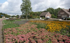 Onderhoudsarm plantsoen Boxmeer - september 2013