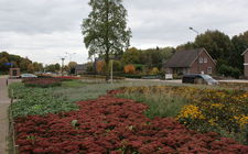 Onderhoudsarm plantsoen Boxmeer - oktober 2013