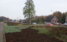Onderhoudsarm plantsoen Boxmeer - november 2013