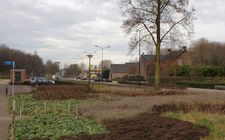 Onderhoudsarm plantsoen Boxmeer - december 2013