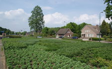 Onderhoudsarm plantsoen Boxmeer - april 2014