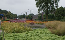Onderhoudsarm plantsoen Boxmeer - juli 2014