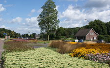 Onderhoudsarm plantsoen Boxmeer - augustus 2014