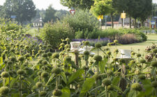 Onderhoudsarme tuin familie van Minderhout