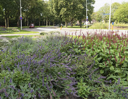 Green to Colour Weert