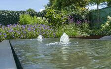 Tuinontwerp Van der Vught -Cox levendige en onderhoudsvriendelijke tuin