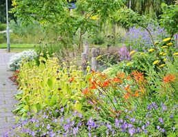 Familie Hendrikx kiest voor tuin met een natuurlijk karakter